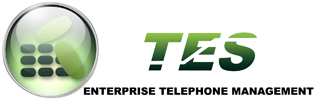 tes logo